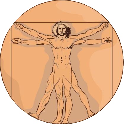 body